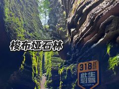 -梭布垭石林景区