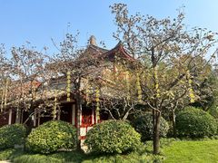 -华清宫景区