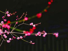 -颐和园