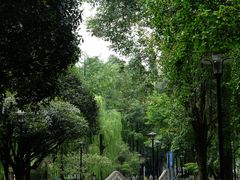 -温江公园