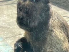 -秦皇岛野生动物园