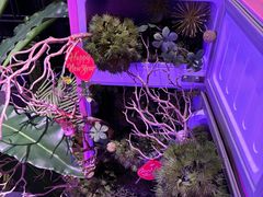 -粉墨特色菜·烧烤音乐酒馆