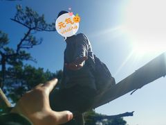 -王顺山国家森林公园