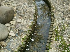 android_upload_pic-高东镇樱花园