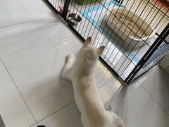 -萌兽医馆·犬猫专科·眼科中心·宠物医院(朝阳门分院)