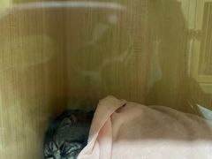 -谐和益家动物医院·免疫绝育·血液透析·宠保定点医院(高新伊藤分院)