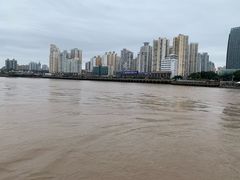 -江心屿景区
