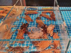 -大鱼徽州·寻味徽菜(星光总店)