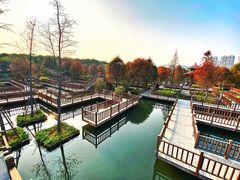 -五缘湾湿地公园