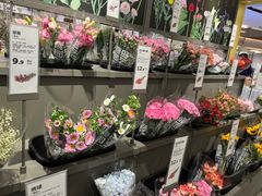 -鹿岛会员店(熙地港店)
