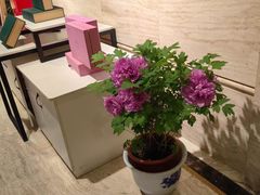 -洛阳宴·洛阳菜(南昌路店)