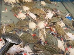 -一方渔歌蒸汽海鲜自助(文化路万达广场店)