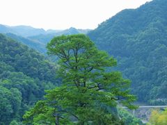 -四明山国家森林公园