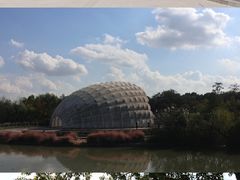 -上海吴淞炮台湾国家湿地公园