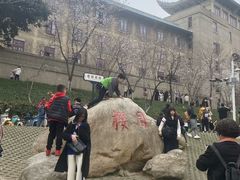 -武汉大学-樱园