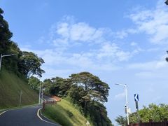 -黄埔油麻山森林公园