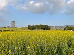 -光明小镇欢乐田园