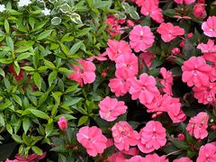 -人民公园(罗湖区)