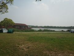 -上海都市菜园