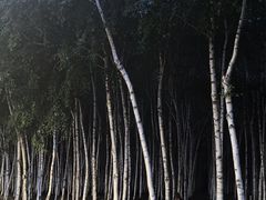 -哈尔滨大剧院