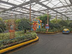 -南宫五洲植物乐园