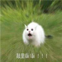 -戛纳印象摄影(潮拍定制馆)