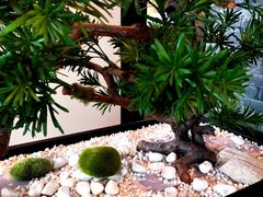 -必胜客(南锣鼓巷店)