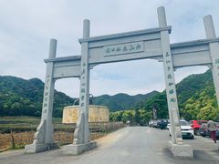 -龙坞茶村