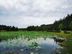 -宜兴龙背山森林公园