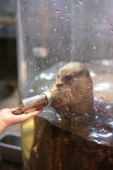 -Zoolung Zoolung动物主题公园(海信广场店)