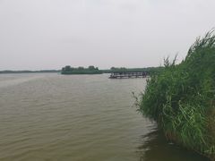 -西青郊野公园