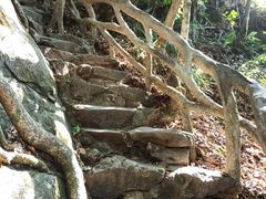 -梧桐山风景名胜区