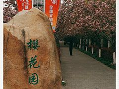 -高东镇樱花园