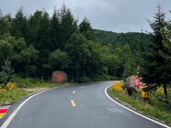 -横道河子东北虎林园