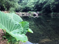 -白云源风景区