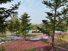 -南通洲际绿博园