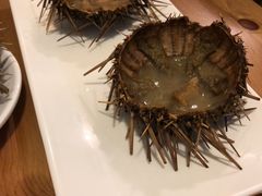 -海胆小馆(东北水饺·春柳店)