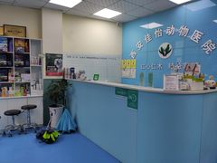 -佳怡动物医院·平价24小时·猫专科骨外科