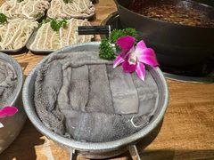 -钢管厂五区小郡肝火锅串串香(总店)