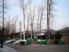 -禧宴Joyous Restaurant(禧园店)
