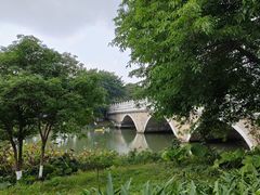 -海珠湖公园