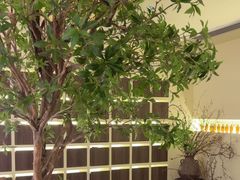 -静耳元気采耳·按摩·SPA(万象前海店)