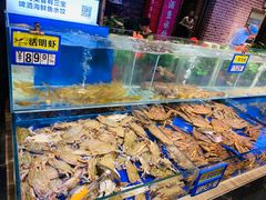 水产区-船歌·鱼水饺青岛菜(闽江二路店)
