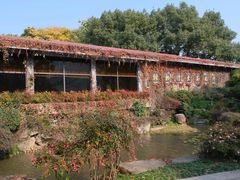 -中国茶叶博物馆(双峰馆区)