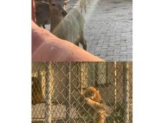 -商丘市人民公园