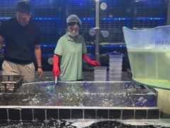 -巧克力渔家.小船海鲜胶东菜(万平口店)