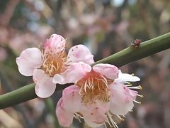 -静安雕塑公园