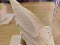 -野人先生Gelato(上海长宁龙之梦店)