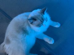 -零纪元VR体验馆·桌游(黄浦店)