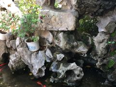 -云和祥食府·特色云南菜(金碧公园店)